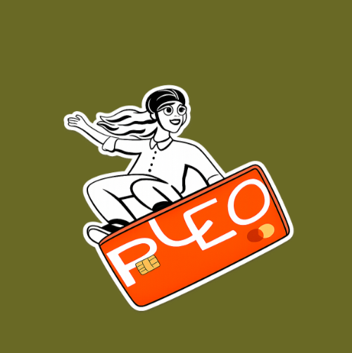 ¿Cómo usar PLEO?